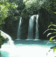 Kawasan Falls